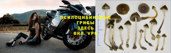 гидропоника Кинешма