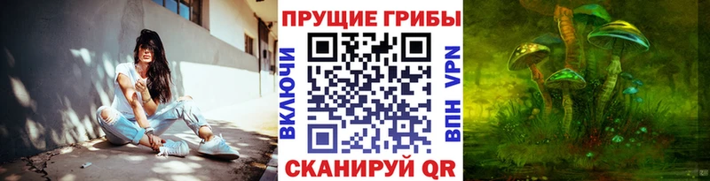Купить закладки  Белая Холуница  Галлюциногенные грибы прущие грибы 